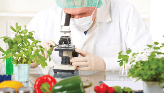 Food Research and Standardization Laboratory (FRSL) GHAZIABAD