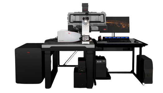 Leica STELLARIS and AI microscopy