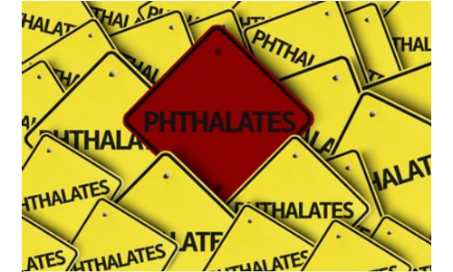 Phthalate Analysis