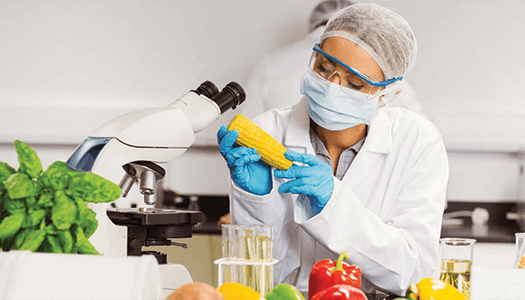 Regional Food Testing Laboratory