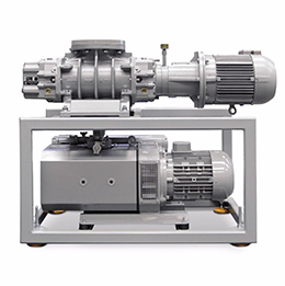 Rotary Vane Pumps and Roots Pumping Systems